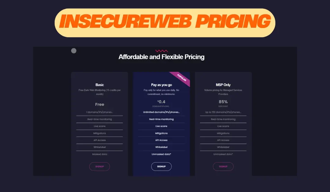 InsecureWeb Pricing Plans: Detailed Cost Breakdown for 2025