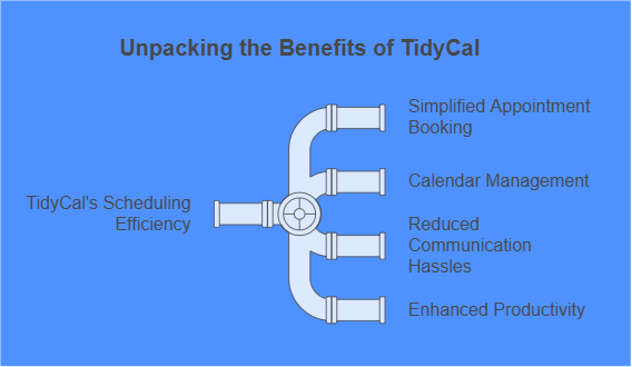 TidyCal user reviews
